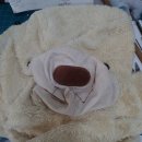 방이역 2번출구(뒤) 이미지