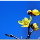 경상감영공원 이미지