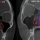 이좋은이비인후과의원 이미지