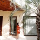 아르아토 이미지