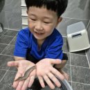 성광태권도장(성서관) 이미지