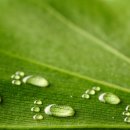 지구환경자원 이미지