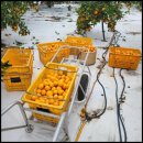 태양2농장 이미지