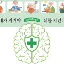 [뇌 노화 늦추는 습관] 내가 지켜야 뇌를 지킨다 이미지
