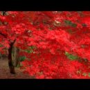 OK능이마을 이미지