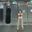 바운스복싱 네이버블로그