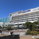 아르피나 이미지