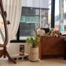 옹달샘cafe