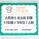 그루밍솔 이미지