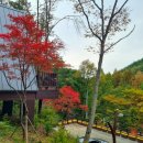 숲속트리하우스 | 대전, 만인산자연휴양림 가을풍경) 숲속의집 트리하우스 숙박후기