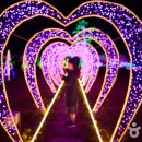 러브트레인 이미지