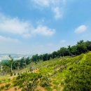 정식목장 이미지