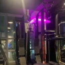 머슬메모리 이미지