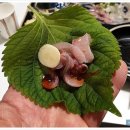 서울회센타 이미지