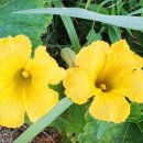 강창순내과의원 이미지