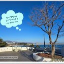 원영 행정사 사무소 이미지