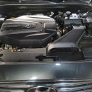 SHARK MOTOR OIL 이미지