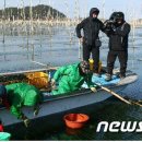 완도군 소개 2011년부터 지금까지 지상파및 종편을 통해 211편 방송에 홍보했다 주 2회 완도 방송탔다 이미지