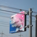 홍동산 Daum카페
