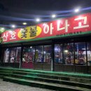 산호숯불아나고 이미지