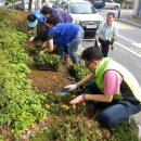 고등동주민센터 이미지