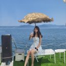 통영요트파티 - 통영시 신죽2길 130 | 통영요트파티