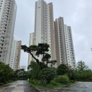 수원-1147 이미지