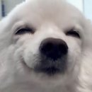 아무나사게 이미지