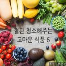 연세식품 네이버블로그