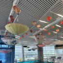 상운목장 | 한국은 처음이지 - 강원도