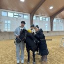 소노펠리체 승마클럽 | [강원/홍천] 홍천 소노펠리체 비발디파크_3살 아기와 1시간 알차게 보낸 승마체험 후기