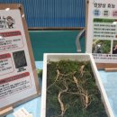 홀뫼농장 이미지