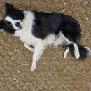 은하제일농장 이미지