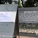 집중호우