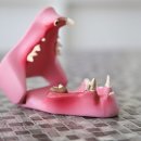 Dr.오즈동물병원 이미지