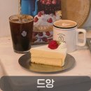 원도안로-22 | 대전 도안동 애견동반 카페 드앙, 케이크 두 번 시켜 먹은 내돈내산 후기