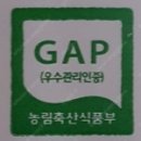 석수농장 | 2020년 석수농장 샤인머스켓 주문받습니다.(판매종료)