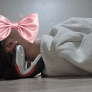 고바디 | 목 견인기, 견갑골, 승모근 관리 내돈내산 - 넥가드 닥터, 에르고바디 쉐이피슬림백 사용후기