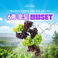 천상의포도농원