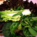 우리집숯불갈비 이미지