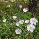 파주스타디움 이미지