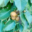 형국농장 이미지