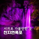 천지연무태장어난 | 서귀포 가볼만한곳 천지연폭포 야간 방문 후기 새연교 불꽃놀이까지 덤이었어요!