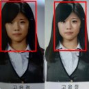 몽코지 이미지