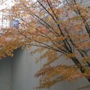 부천테크노파크 2단지 이미지