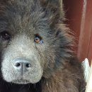 대복농장 이미지