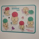 세라픽디자인