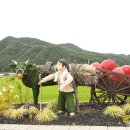 산청 장승배기 생태공원-단계 한옥마을 탐방 26년 08월 09일 (일) 이미지
