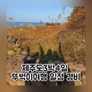 서울미라마(유)그랜드하얏트서울 | 제주도3박4일 뚜벅이여행 일정 경비 모녀여행 코스 추천