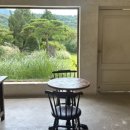 앙떼떼(entete) 이미지